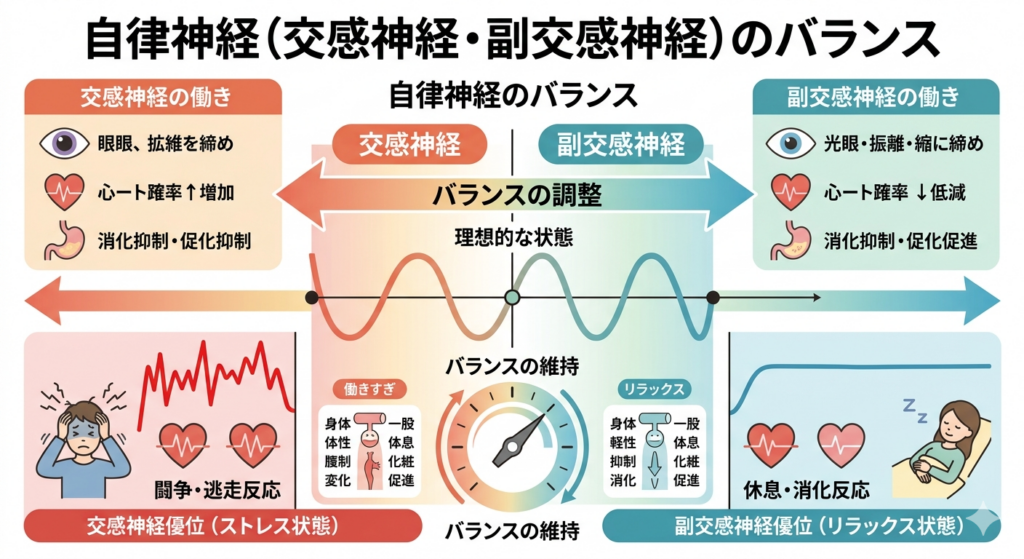 自律神経